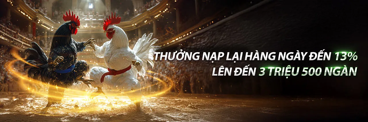 Sân đấu đá gà Thomo trực tuyến KM666